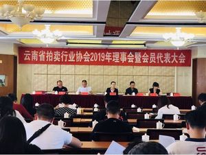 云南省拍卖行业协会2019年理事会暨会员代表大会胜利召开